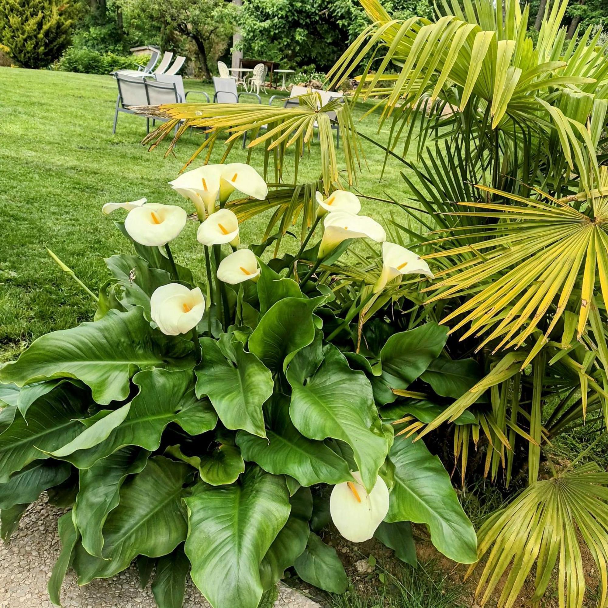 Domaine La Garence Bed & Breakfast Villers-sous-Châtillon Eksteriør bilde
